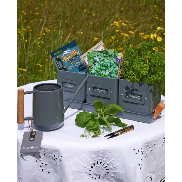 Kitchen Herb Garden Gift Set